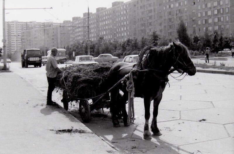 На заднем плане наш дом
