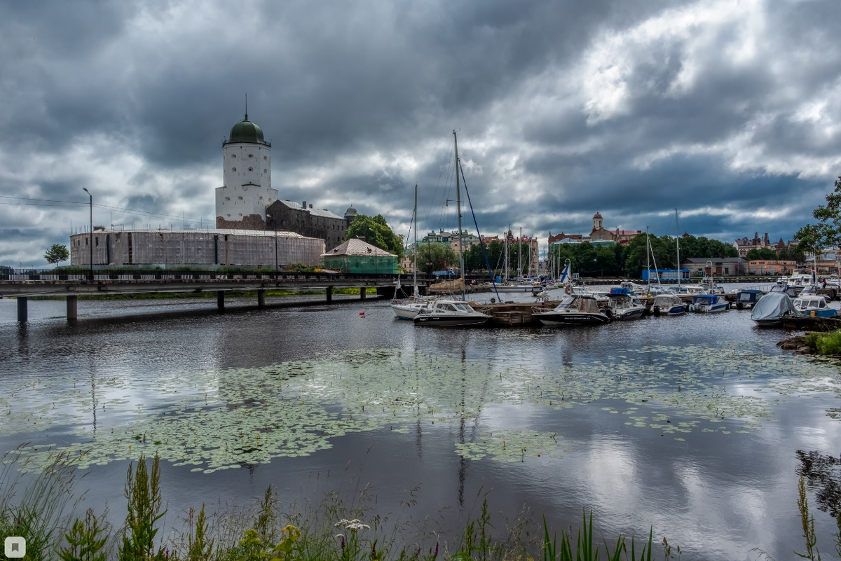 Фото Александра Дроздова