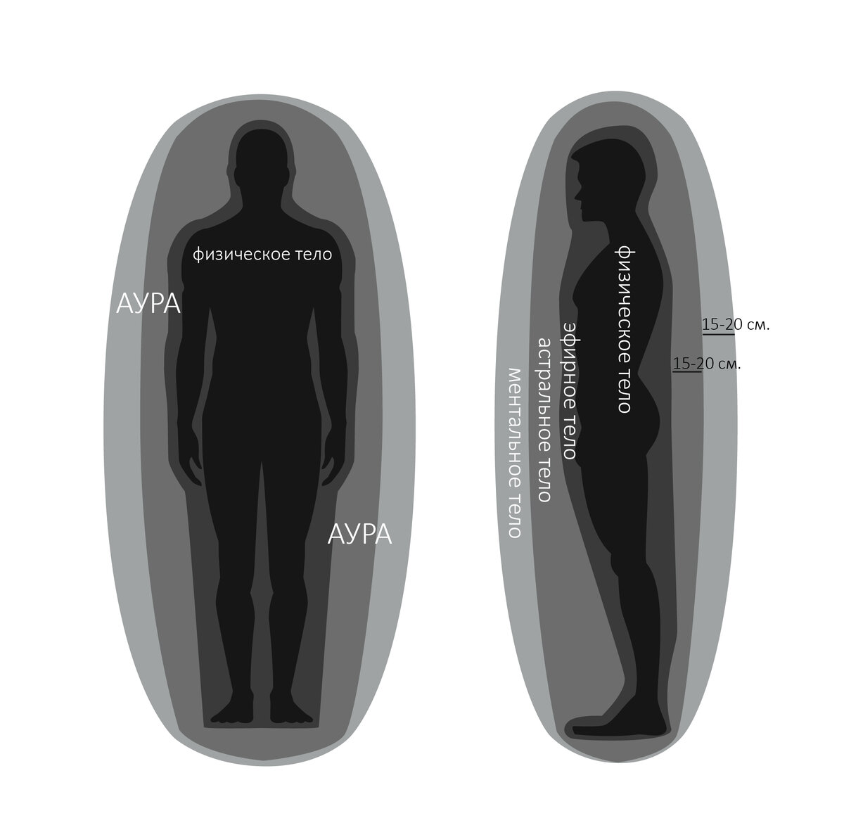 Рисунок-схема ауры человека, которая состит из 3 тонких тел.