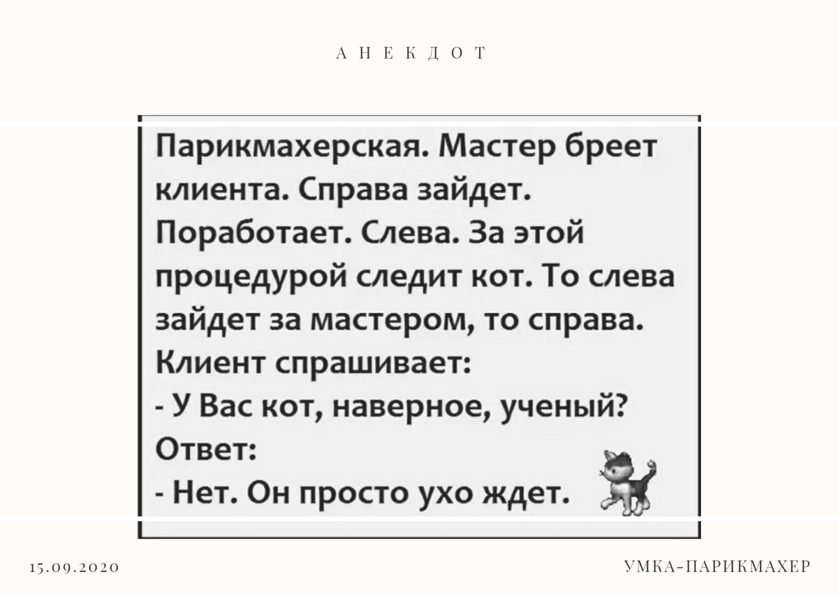 Анекдот про парикмахера, клиента и кота 