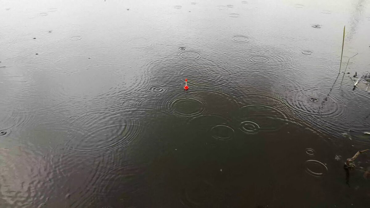 Рыбалка в дождливую погоду