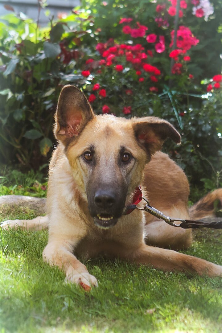 Баркли, очень ждёт свою семью