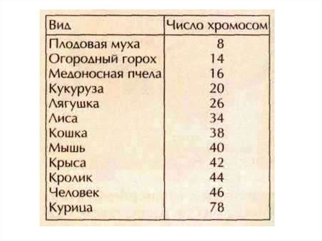 46. Из открытых источников
