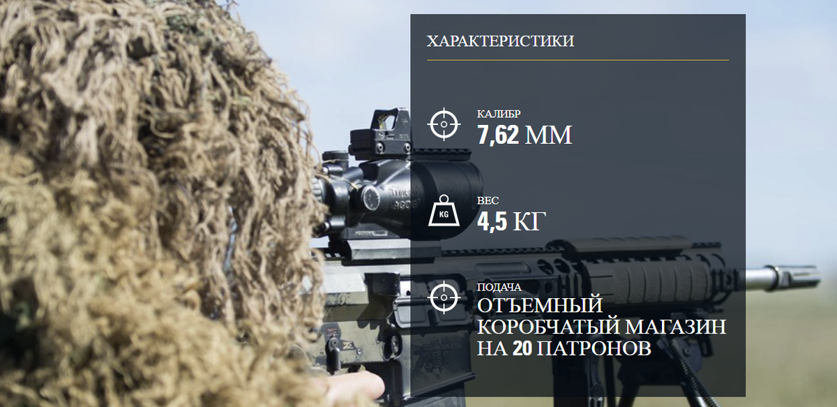 СНАЙПЕРСКАЯ ВИНТОВКА L129A1
