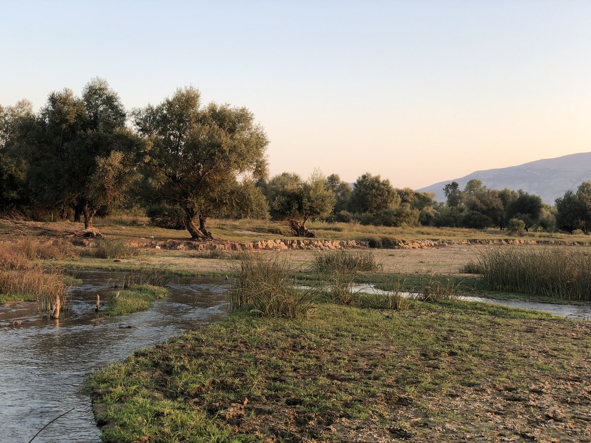 Великолепие природы под угрозой.