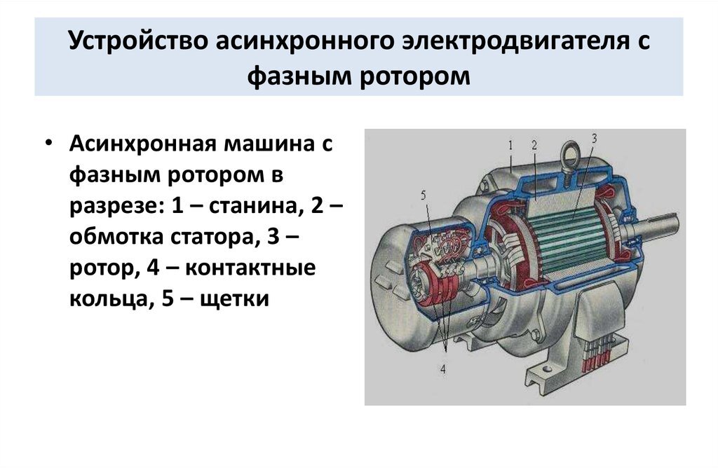 Асинхронной машине c короткозамкнутым ротором соответствует схема