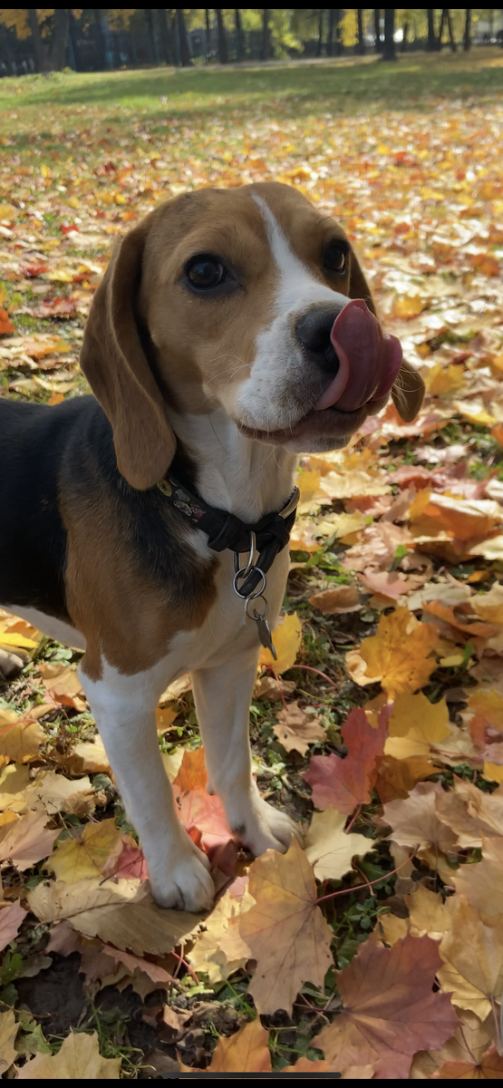 Всем злым людишкам вот так вот покажу 