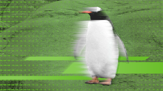 Источник изображения: Opensource.com