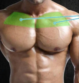 Комплекс упражнений на грудные мышцы | Как накачать грудь – ДОН-Спорт