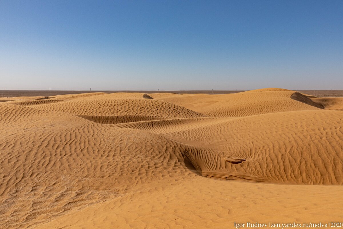 Полторы тысячи километров, и вот уже самая настоящая пустыня в калмыцких степях!