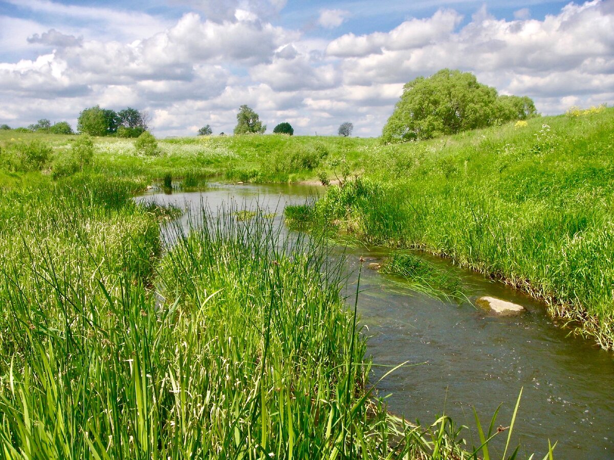 Село рядом