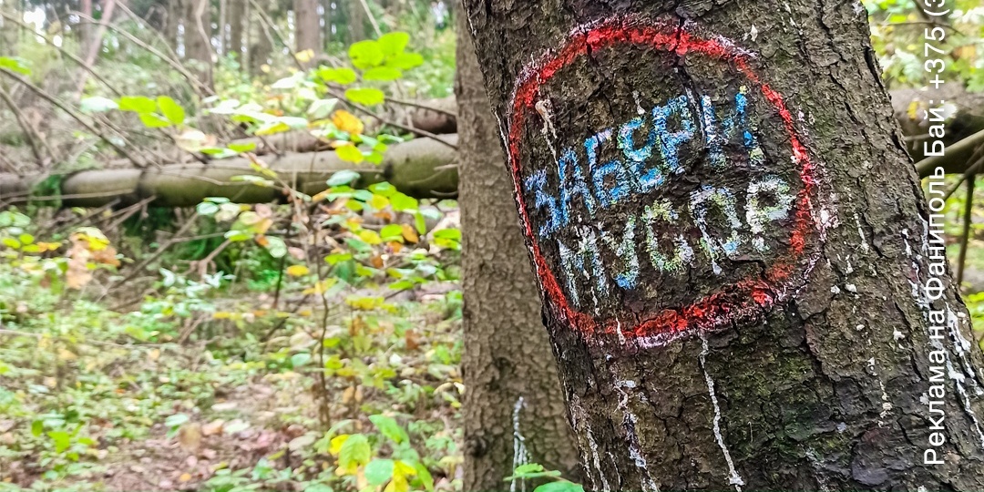 17 октября в Фаниполе в лесу по ул. Лесная и ул. Бровки сотрудники Станьковского лесничества Государственного лесохозяйственного