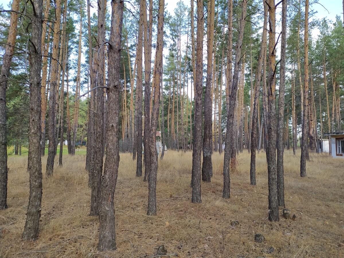 река кондурча в самарской области