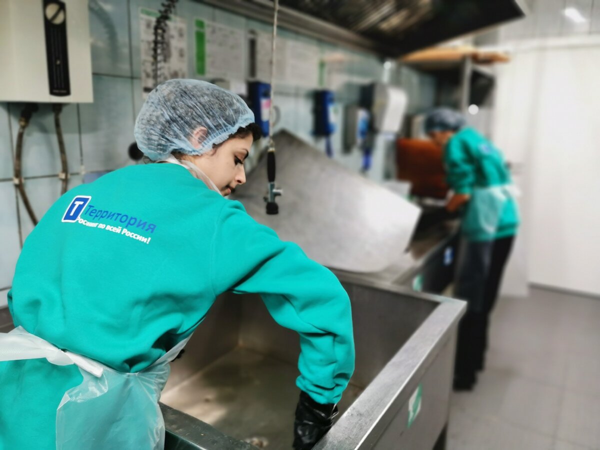 Компания "Территория"