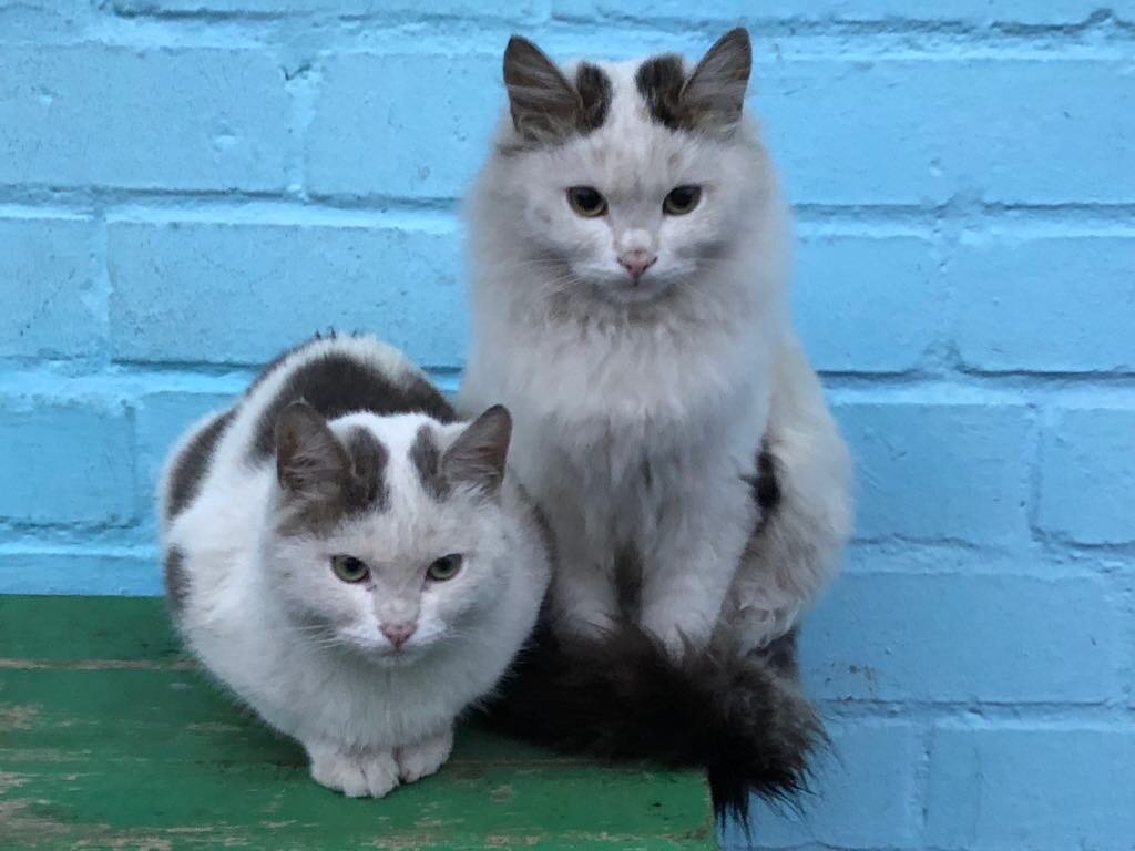 Автор фото Элеонора В.