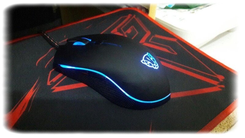 Фото из открытого источника