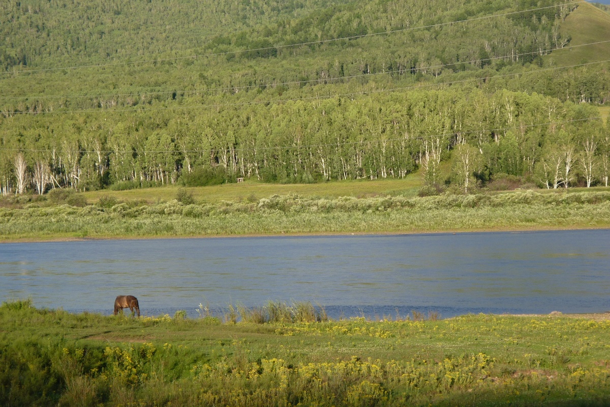 Покосы на том берегу.