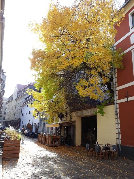 Рига, 8 октября 2020