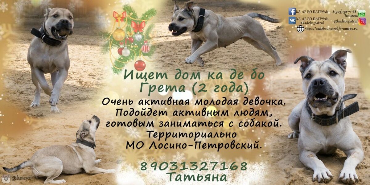 Кадебо Грета