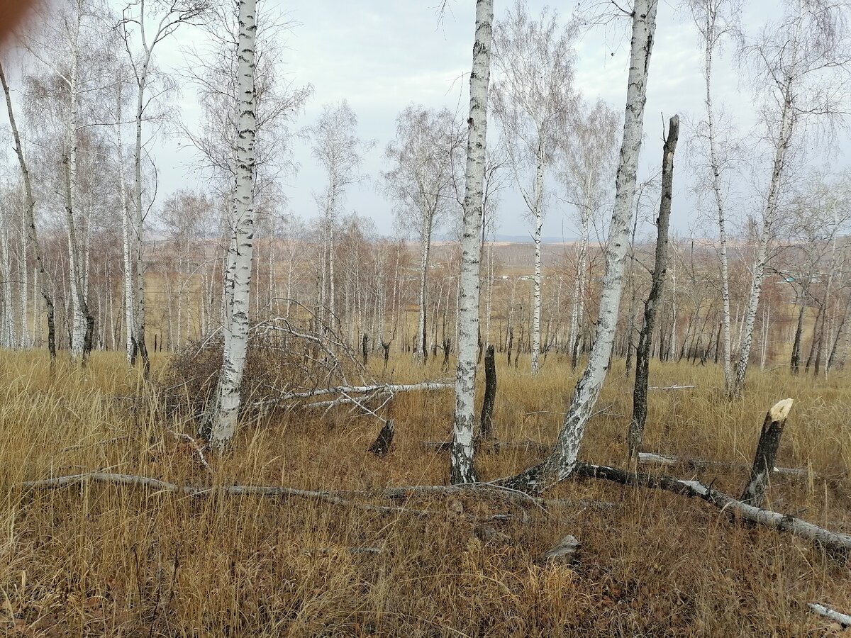 прошли метров, 250 вид на деревню