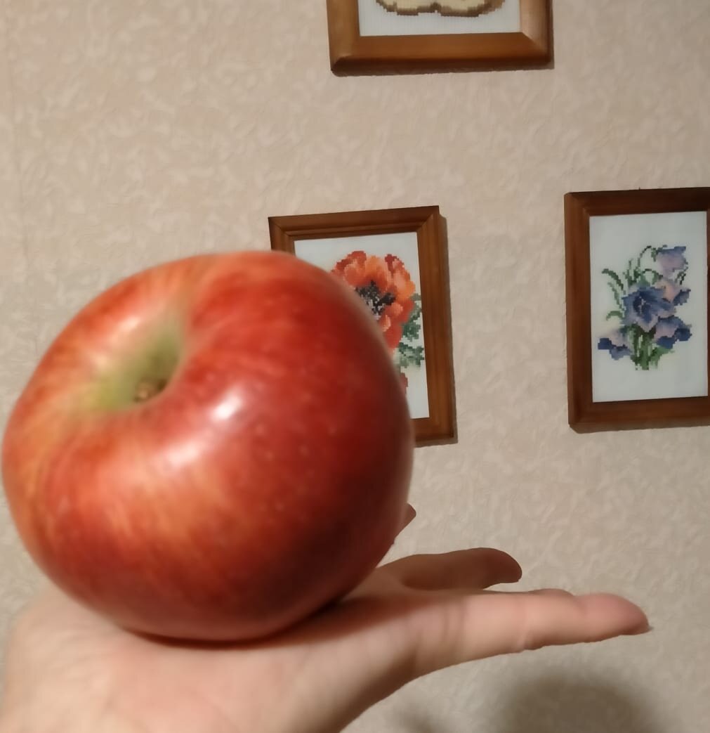 @  Фото Аллы Шаровой.