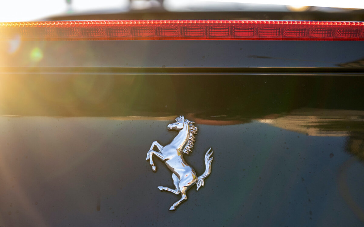 Фото: Paul Zinken / dpa-Zentralbild / ZB