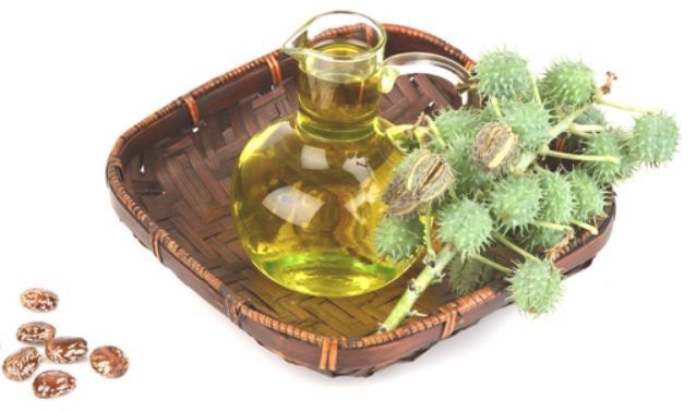 КАСТОРОВОЕ МАСЛО (CASTOR OIL)