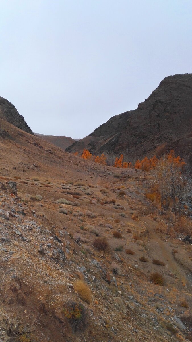 Осень 2018г. Марс. Республика Алтай.