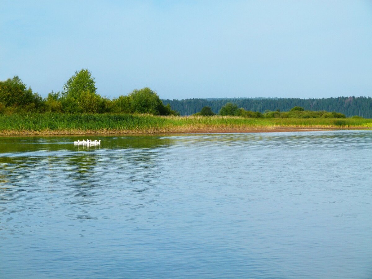Сылва. Фото с сайта komanda-k.ru
