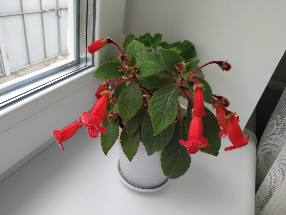 6 соток. Светлана Аниканова