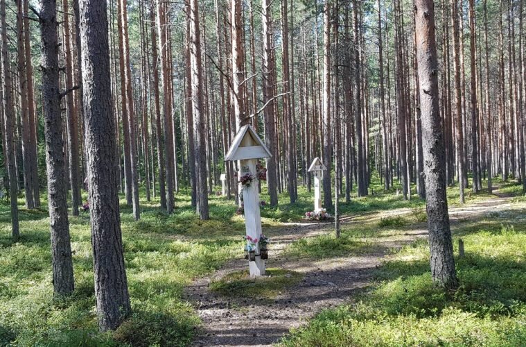 Сандармох. Фото: Kai Hirvasnoro