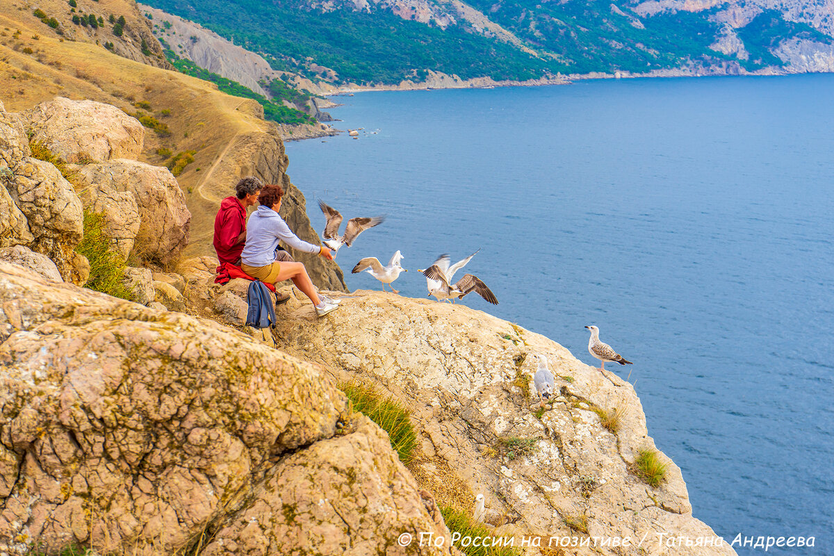 Люди. Отдыхающие кормят чаек в Балаклаве