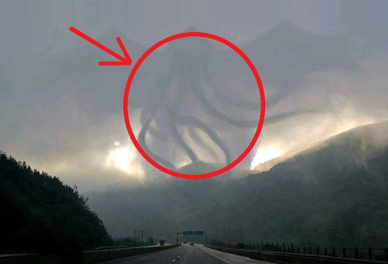 Изображение из свободного доступа