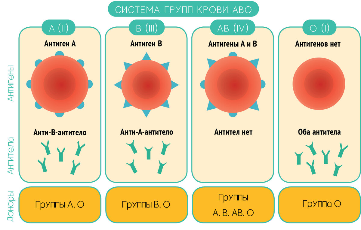 Антигены в крови таблица