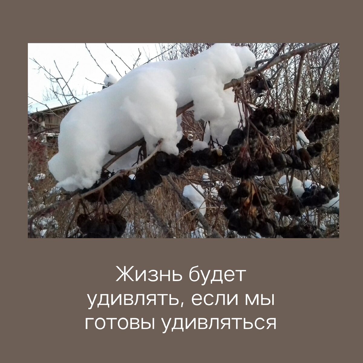 Поэтому важно всегда оставаться готовым заметить чудо.