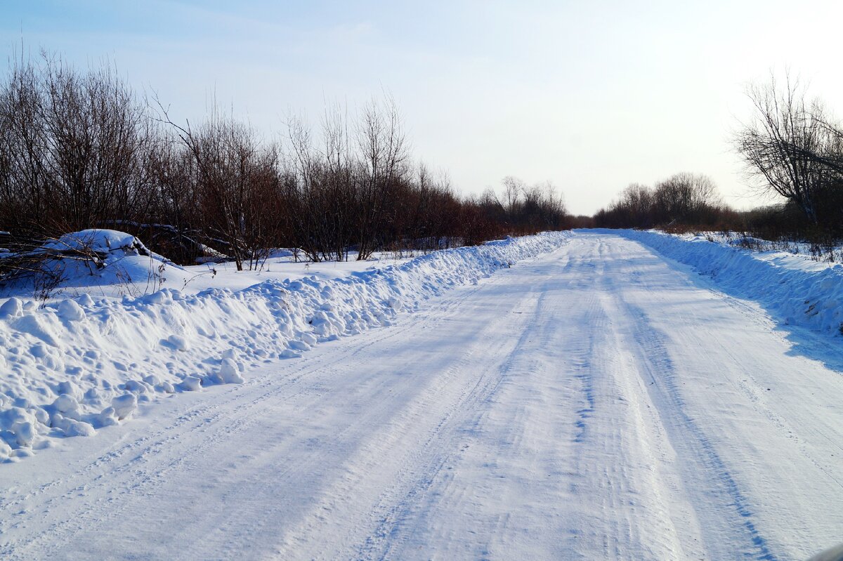 Зимник