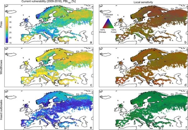 Левый столбик отражает глобальную, а правый локальную уязвимость лесов к таким факторам: а b - пожары; с, d - буреломы; e, f - массовые появления насекомых-вредителей. Giovanni Forzieri et al. 