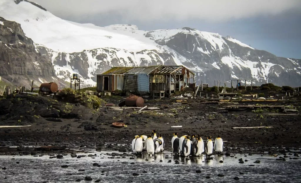 Kerguelen Island Iles kerguelen, Ile, Ocean indien