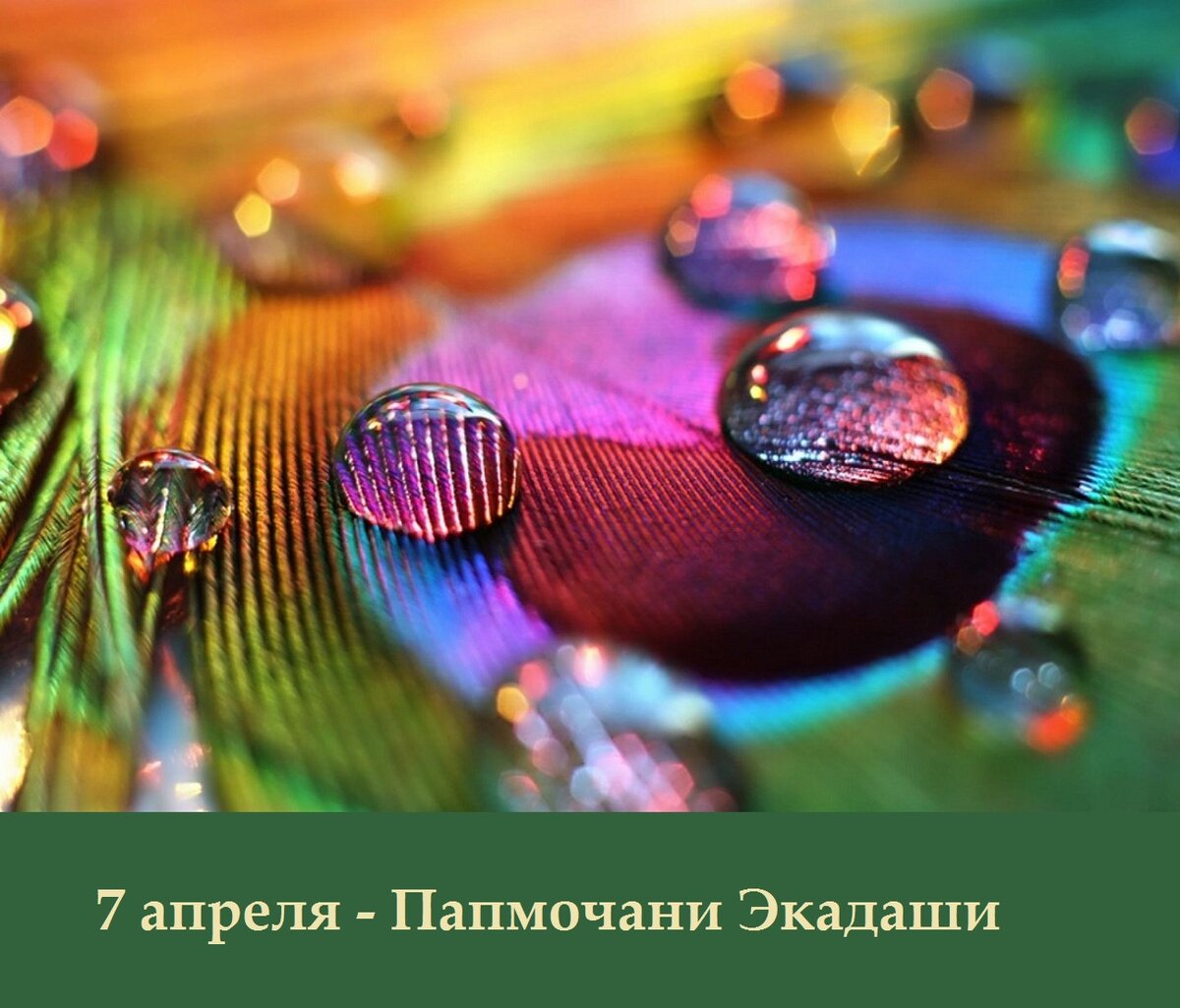 7 апреля - Папмочани Экадаши