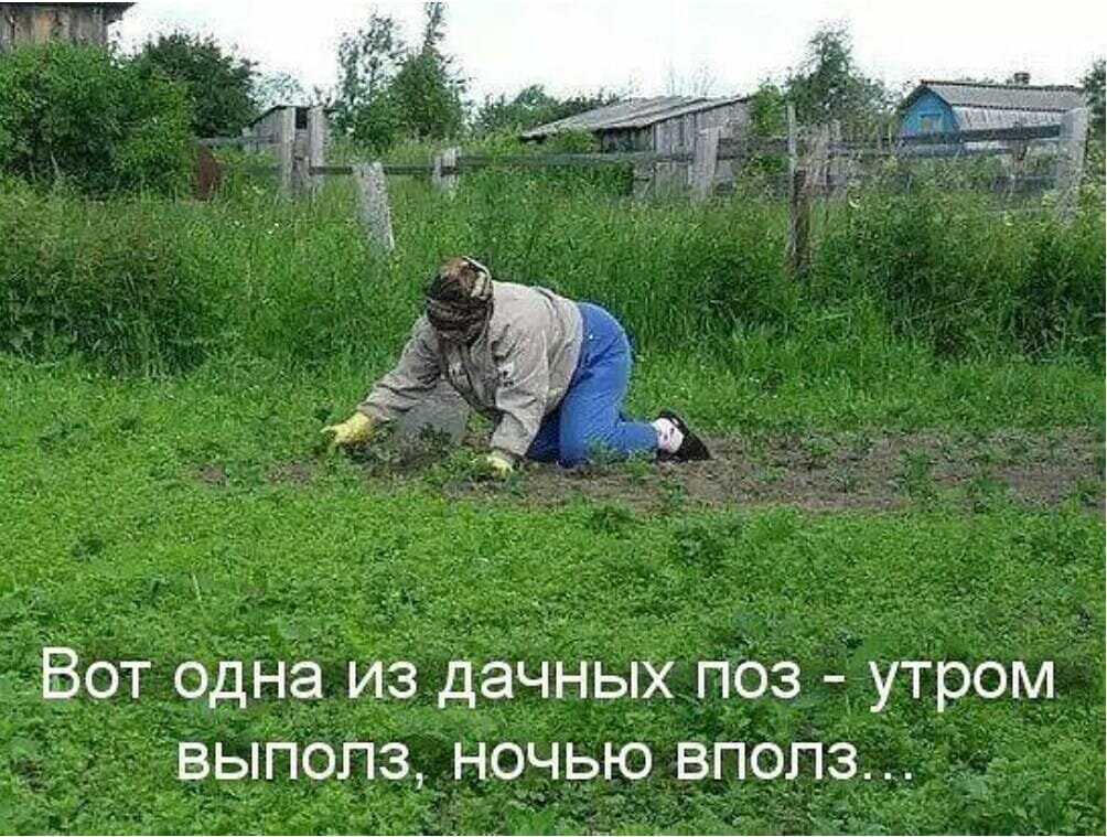 Пашем на даче смешные картинки