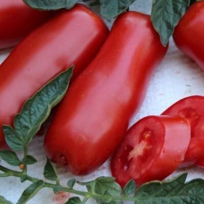 Помидоры "Дрова" имеют необычную форму, приятный вкус. Источник: yandex.ru