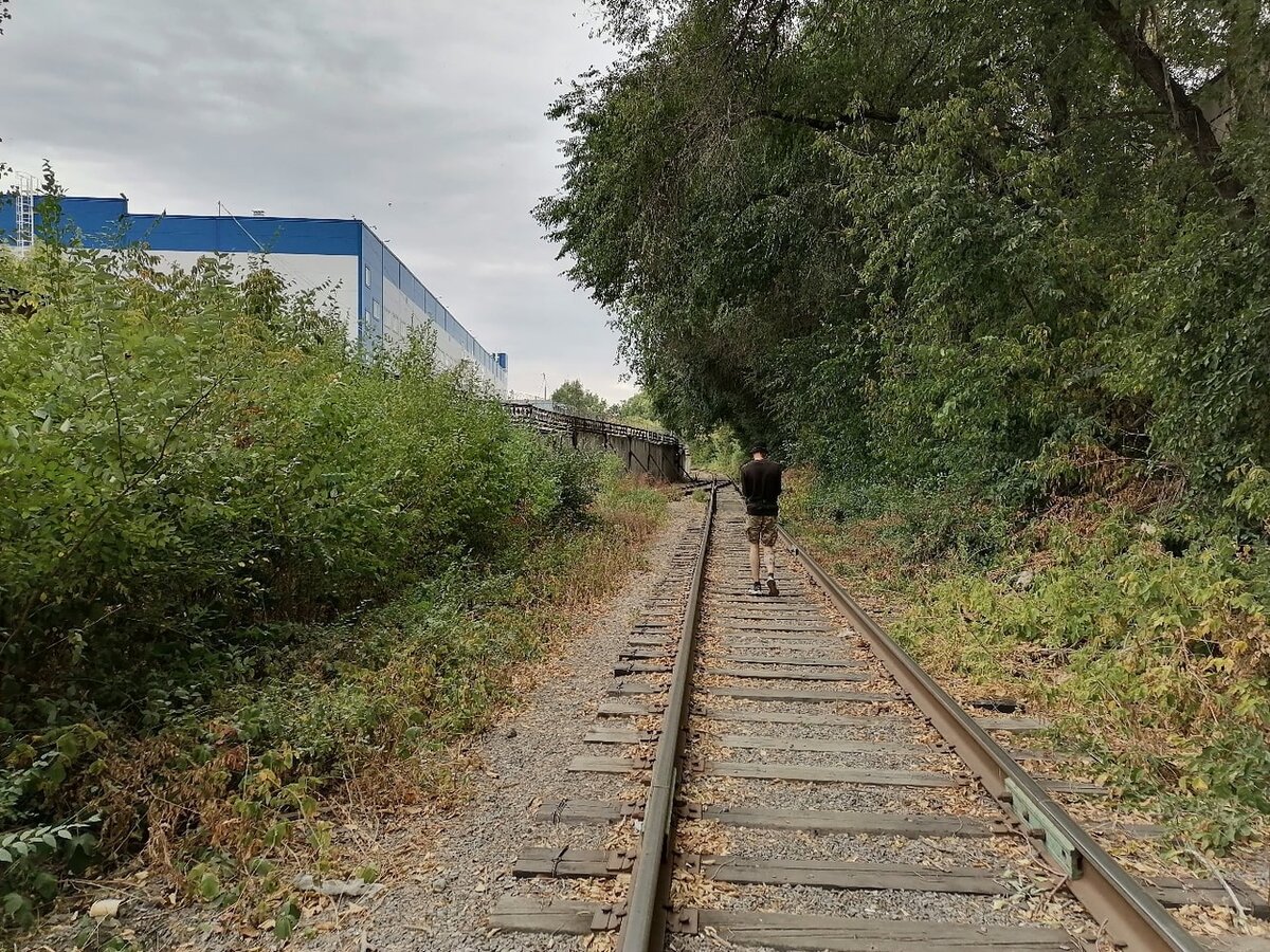 ЖД дорога по которой мы шли. 