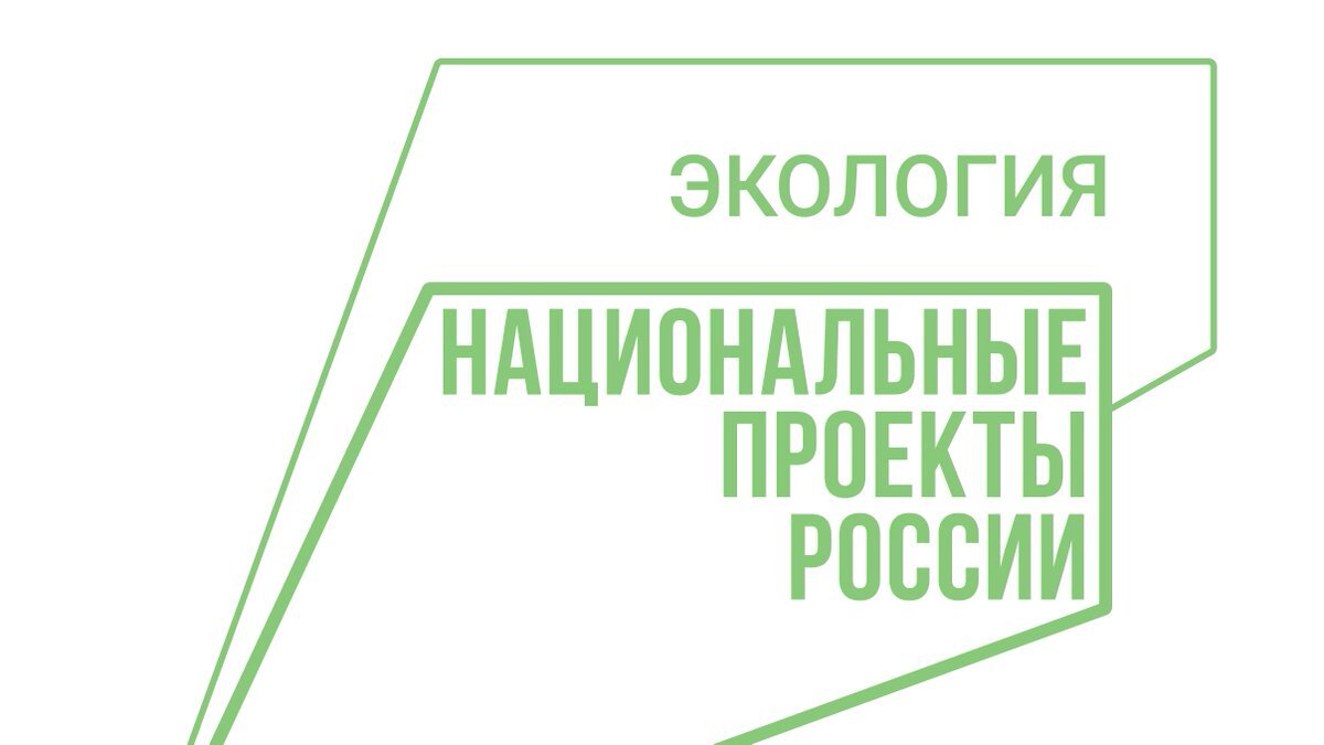 Сохранение лесов федеральный проект национального проекта экология