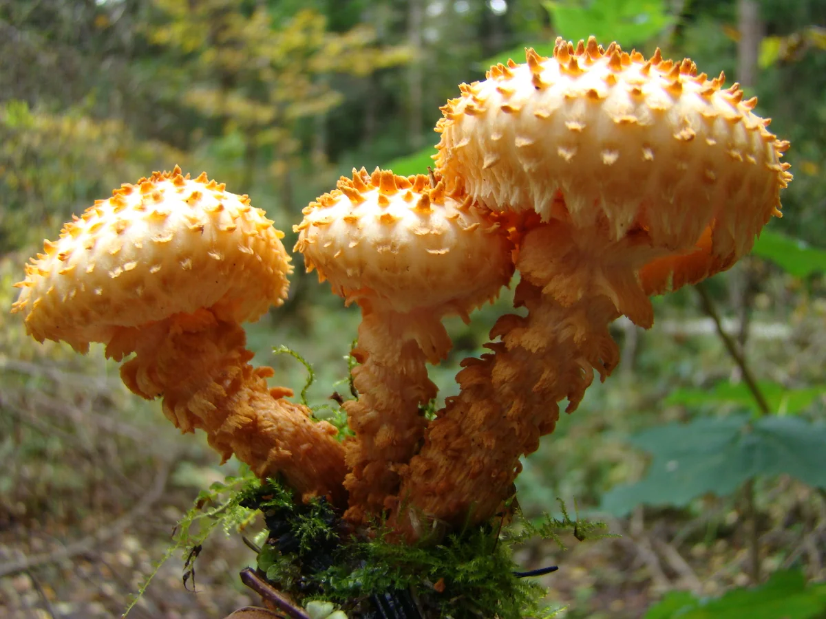 Фото Юрия Новикова