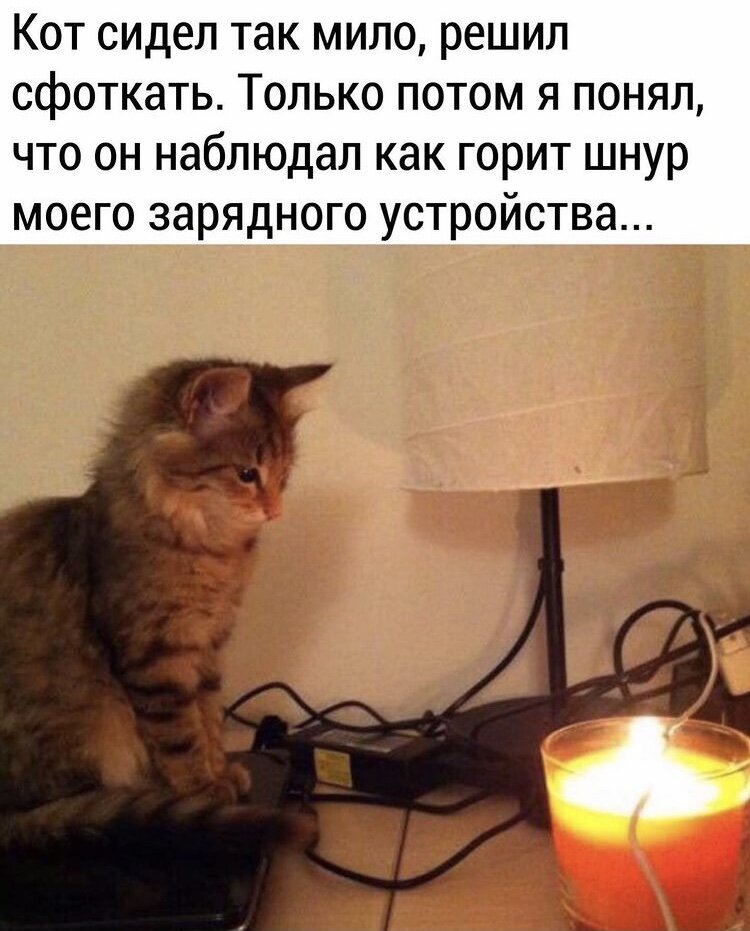 Фото из открытого источника