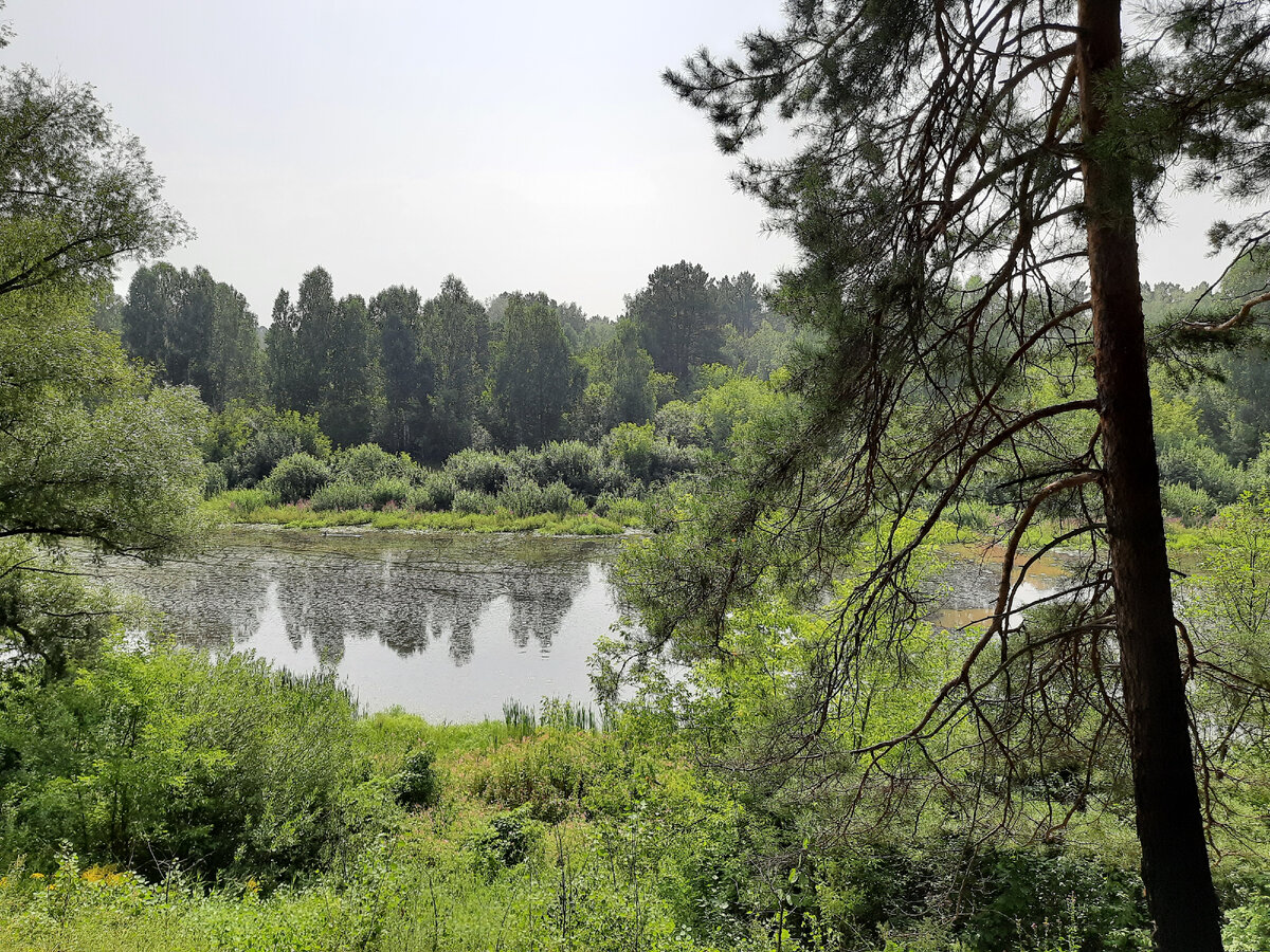 Канонерское озеро