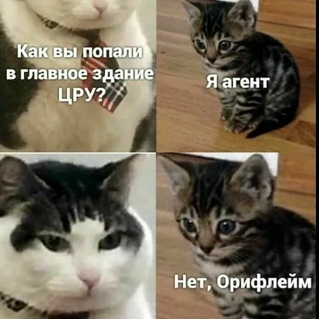 Лучшие способы поднять настроение. Каждое утро мы выбираем себе настроение сами. Как сам настроение. Каждое утро просыпаясь. Дарю хорошее настроение.