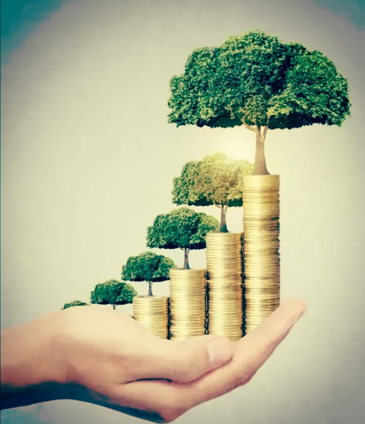 Взято из открытых источников 