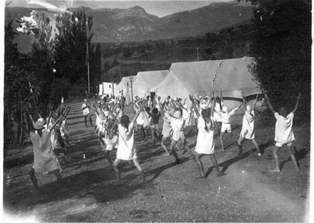 Артек 1925 год