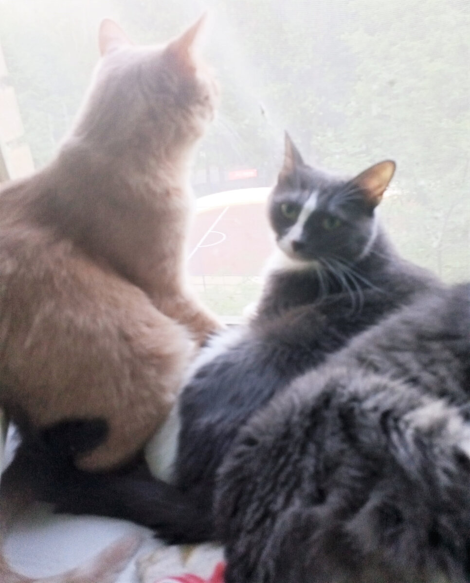 К телепортации приступить) Благодарю за фото Елену ДЯГИЛЕВУ)